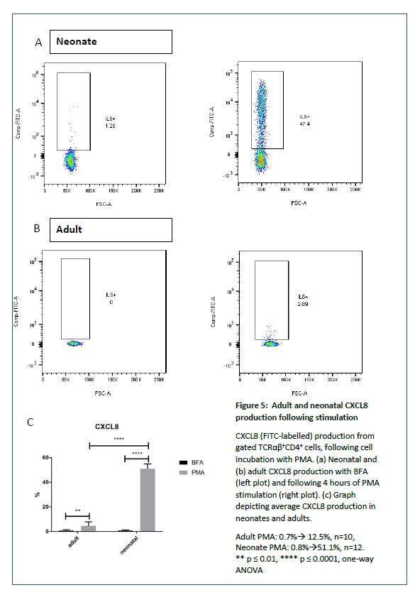 Adult and neonatal CXCL8 production following CD4 T cell stimulation